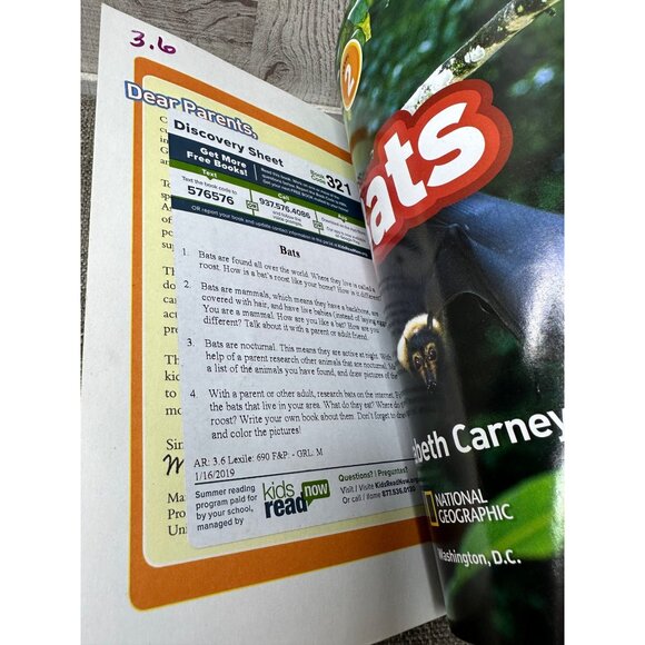 Set Of 4 Childrens Books: I Survived The One And Only Ivan Bats Monster Bugs - Picture 7 of 11